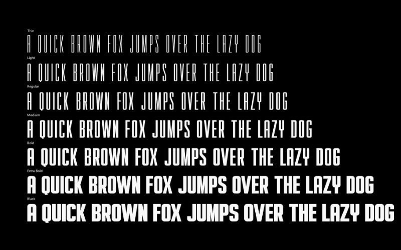a quick brown fox jumps over the lazy dog - preview  in different font weights in the sans serif font