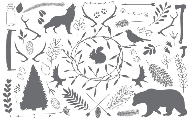wild life elements illustrations wild life elements illustrations