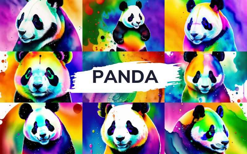 Animal-Illustrations-Panda