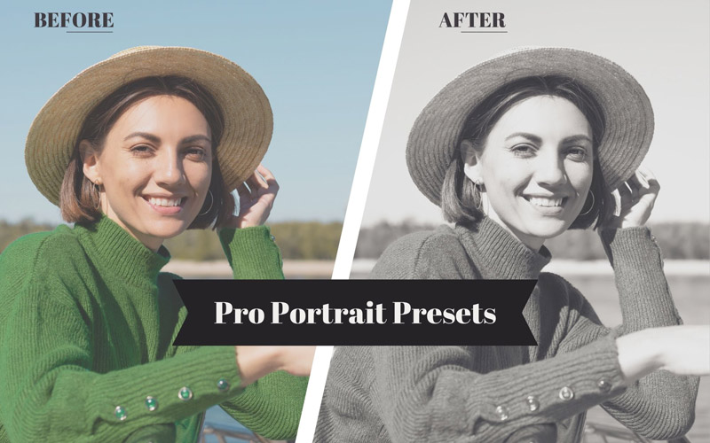 Pro Portrait presets Collection