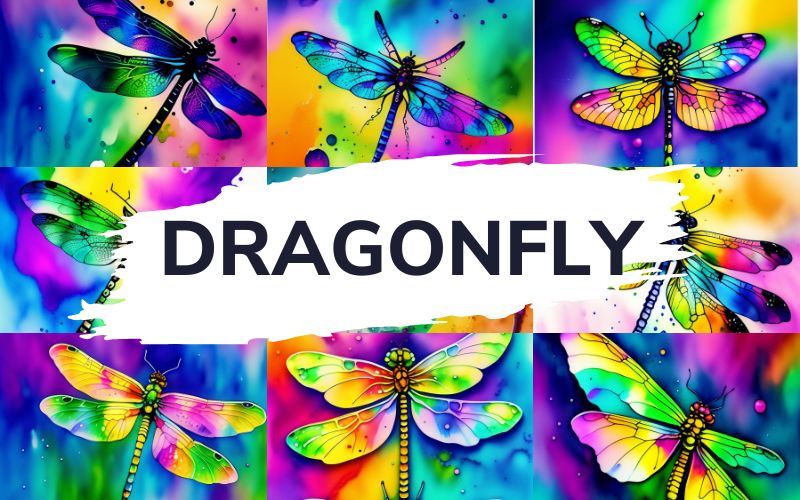 Dragon Fly