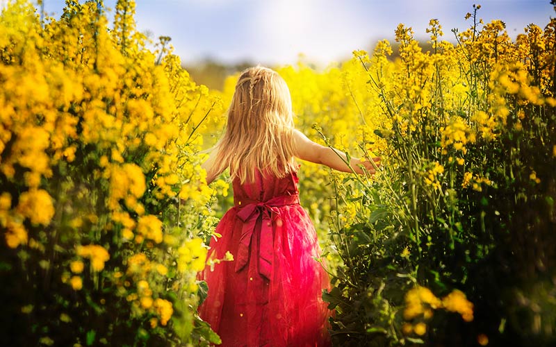 Free lens flare overlays free sun overlay