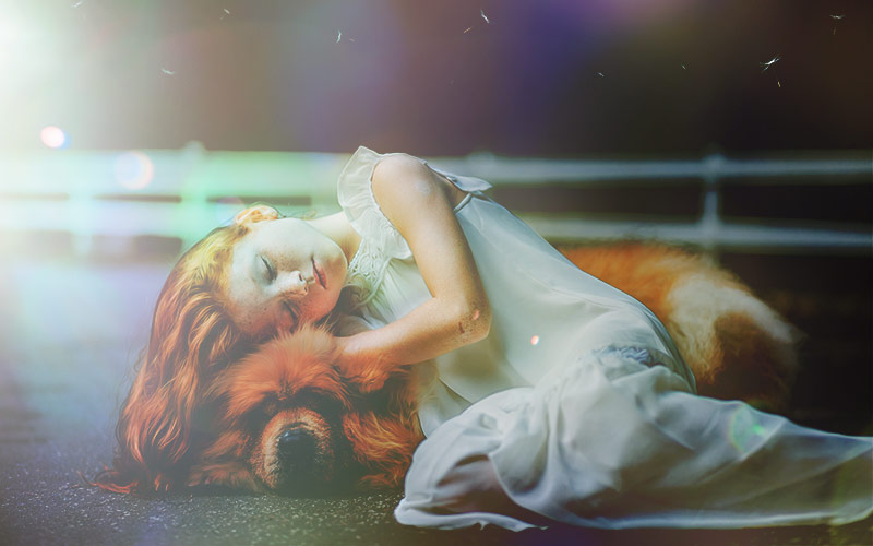 flare overlay free flare overlay free