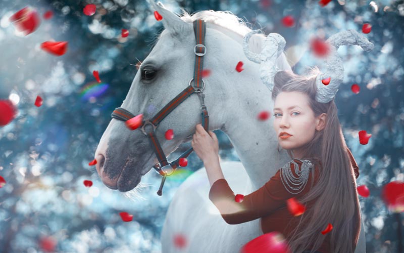 falling-red-rose-petals-photo-overlays falling-red-rose-petals-photo-overlays