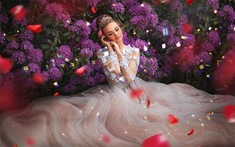 best-free-photoshop-overlays rose-petal-overlay-for-photoshop