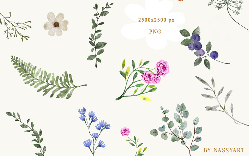 flowers and leaves illustrations flowers and leaves graphic design illustrations