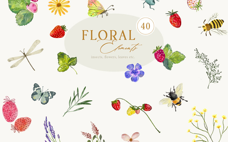 floral elements - insects, flowers, leaves etc