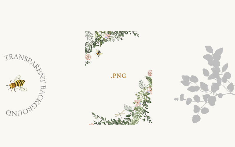 hand drawn summer floral frames - transparent background hand drawn summer floral frames - transparent background