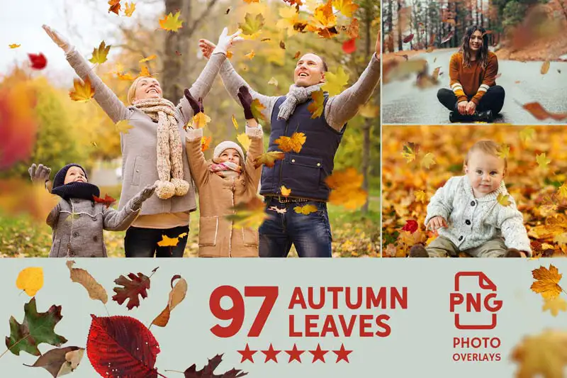 Autumn Leaves Photo Overlays
