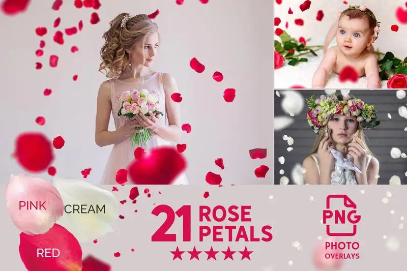 Rose Petals Photo Overlays