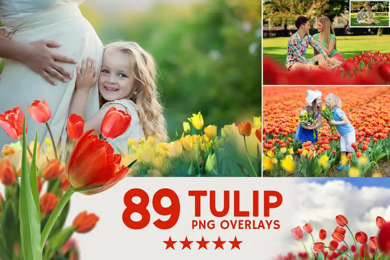 Tulip Photo Overlays