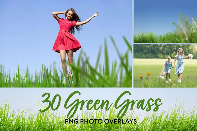  Green Grass Photo Overlays