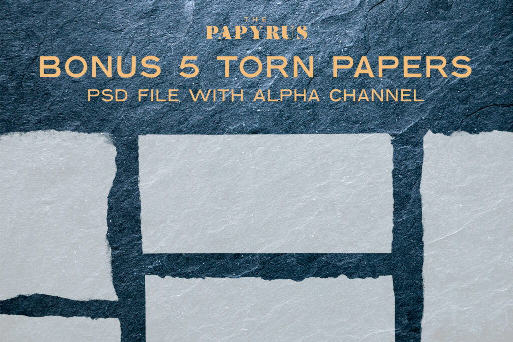 5-torn-papers
