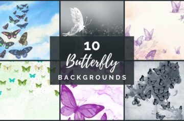 Freebie Butterfly backgrounds Feature Image