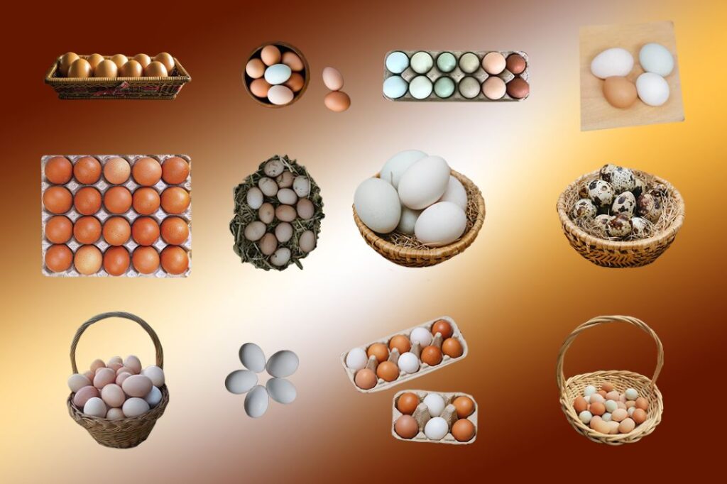 egg baskets overlays