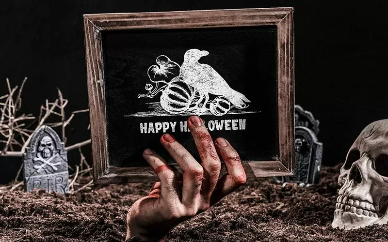 cute white halloween hawk prop image