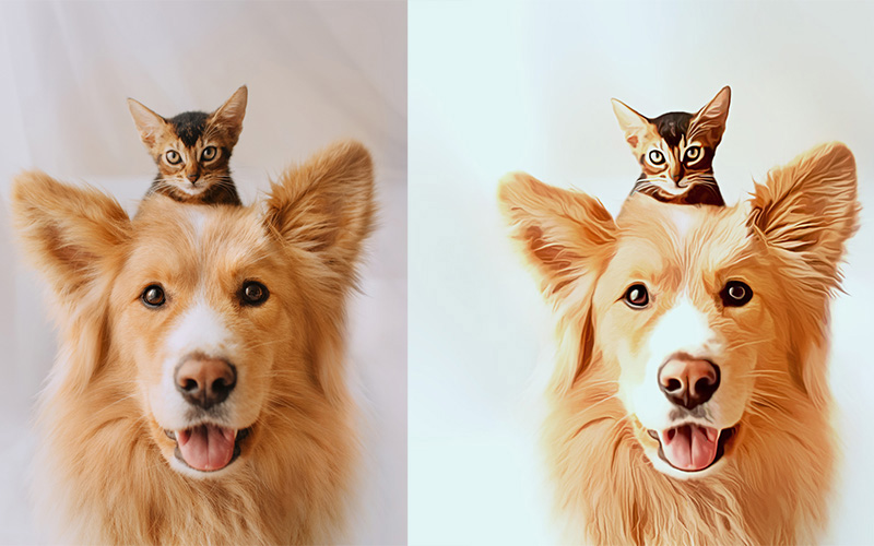 photoshop-action before and after