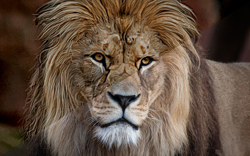 before and after preview of a lion's image