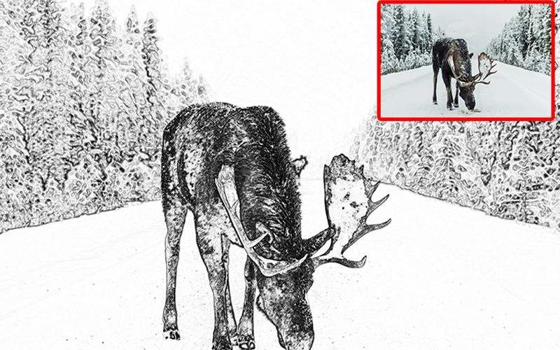 before and after preview of a rein deer's image with a photoshop-action applied