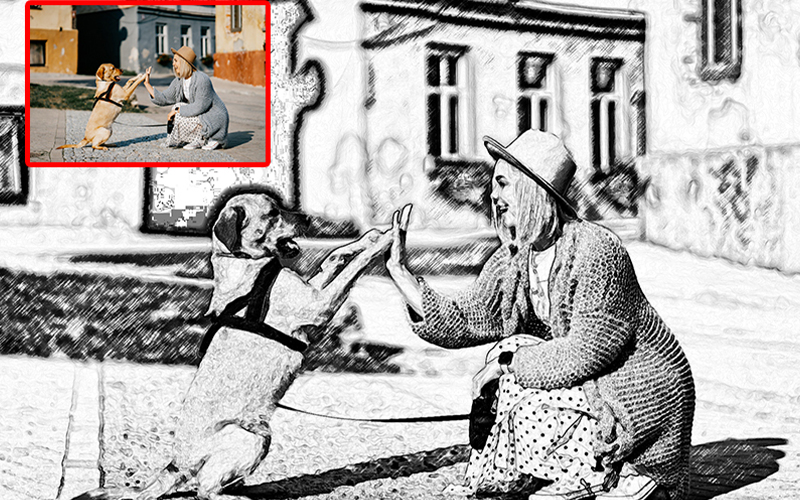 before and after preview of a dog and woman playing