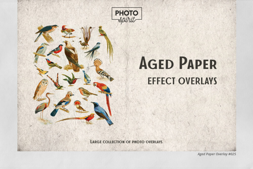 Aged-Paper-Overlays-1