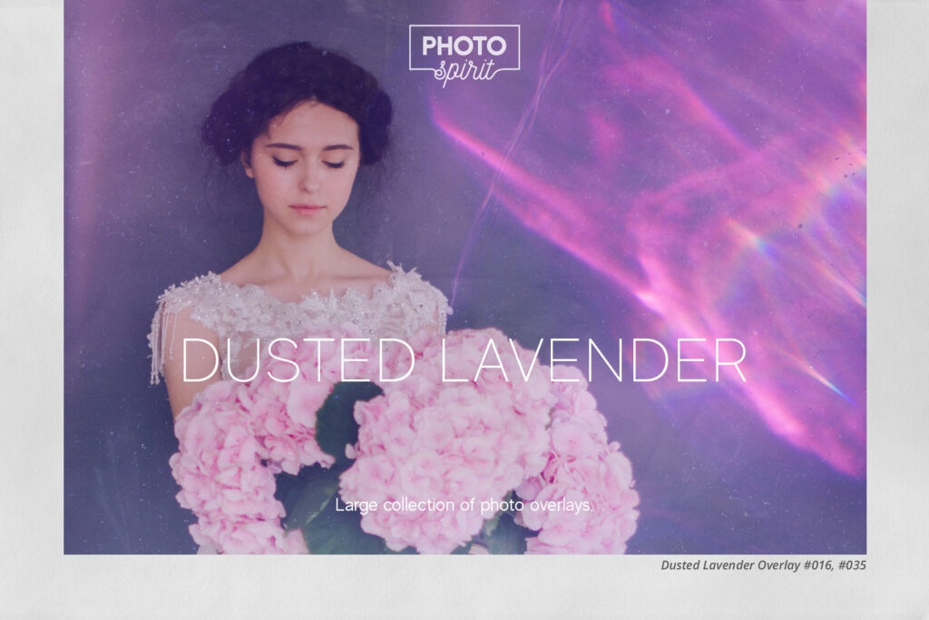 dusted-lavender-overlays