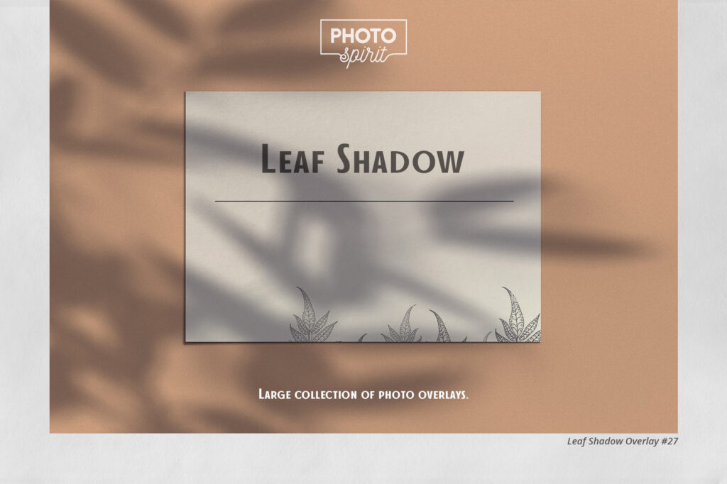 Leaf-Shadow-Overlays-1