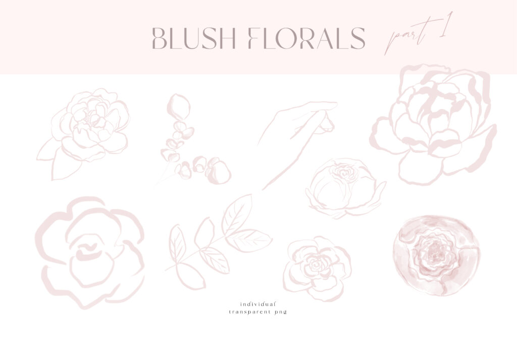 blush-flora-part-1
