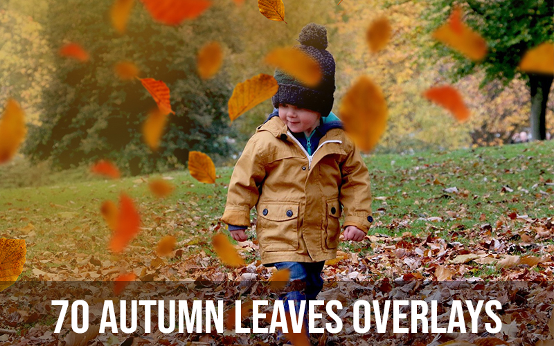 autumn-overlays