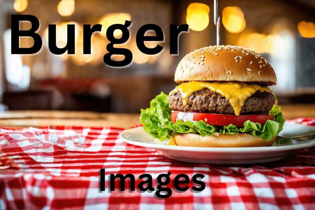 A preview of the burger images