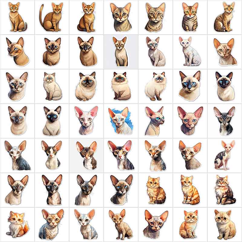 3d cat stickers collage
