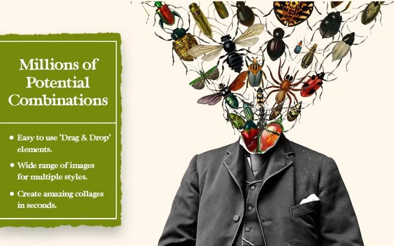 ladybug cut out, bug cut outs, cut out spider, cute spider cut out, honey bee cut outs, photo head cut out,