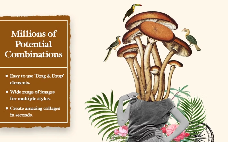 mushroom cut outs, mushroom cutouts, cut out of a bird, cut out pictures of birds