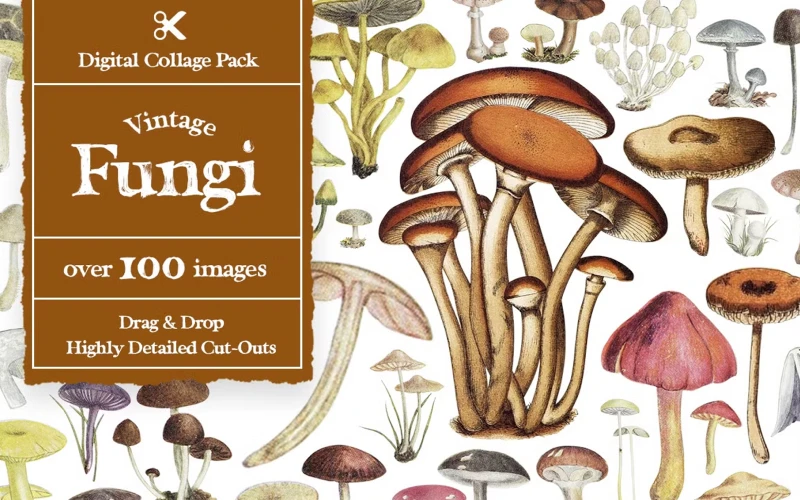 mushroom cut outs, mushroom cutouts