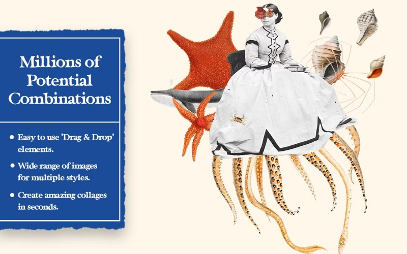 sea life cutouts, sea creature cutouts,sea horse cut out,cut out sea animals, human cut out