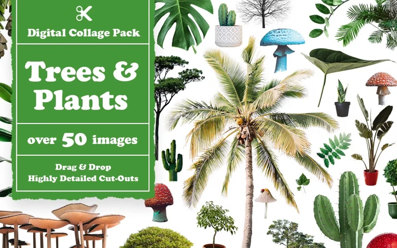 winter tree cut out, christmas tree cutout, cut out of a tree, olive tree cutout, tree to cut out