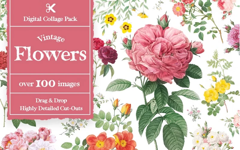 pink flower cut out, retro flower cutouts, cherry blossom flower cut out, felt flower cutouts, 
spring flower cut out, rose flower cut out
printable spring flower cutouts,
tropical flower cut out, tulip flower cut out, white flower cut out