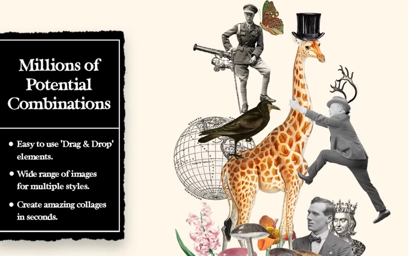 human cut out, cute animal cutouts, forest animal cut outs, large zoo animal cutouts, realistic animal cutouts, vintage inspired image cut out