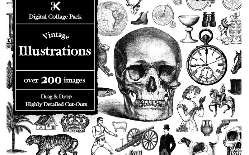 human cut out, cute animal cutouts, forest animal cut outs, large zoo animal cutouts, realistic animal cutouts, vintage inspired image cut out