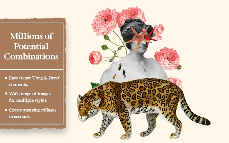 human cut out, animal cut outs, large animal cut outs, starfish cut outs, felt flower cutouts, hibiscus flower cutouts