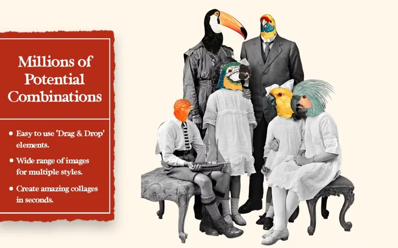 cut out pictures of birds, hummingbird cut out, bird cutouts printable, cut out of a bird, blue bird cut out, cardinal bird cut out