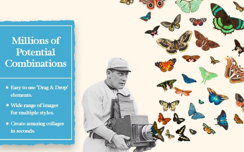 purple butterfly cut out, simple butterfly cut out, small butterfly cutouts, vintage inspired image cut out, human cut out