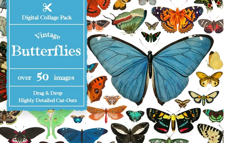 butterfly cut out printable, blue butterfly cut out, small butterfly cutouts, cut out butterfly wings