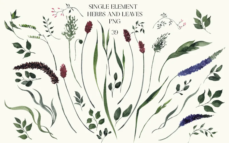 watercolor clipart png
watercolor cocktail clipart
