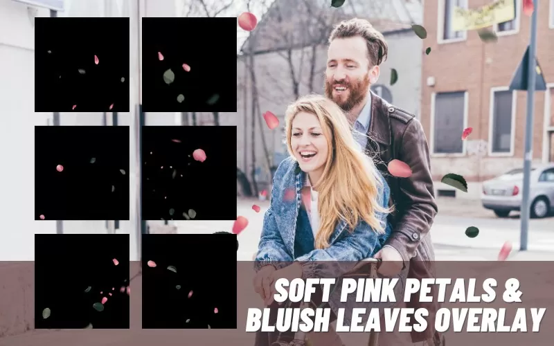 SOFT-PINK-PETALS-overlay-2
