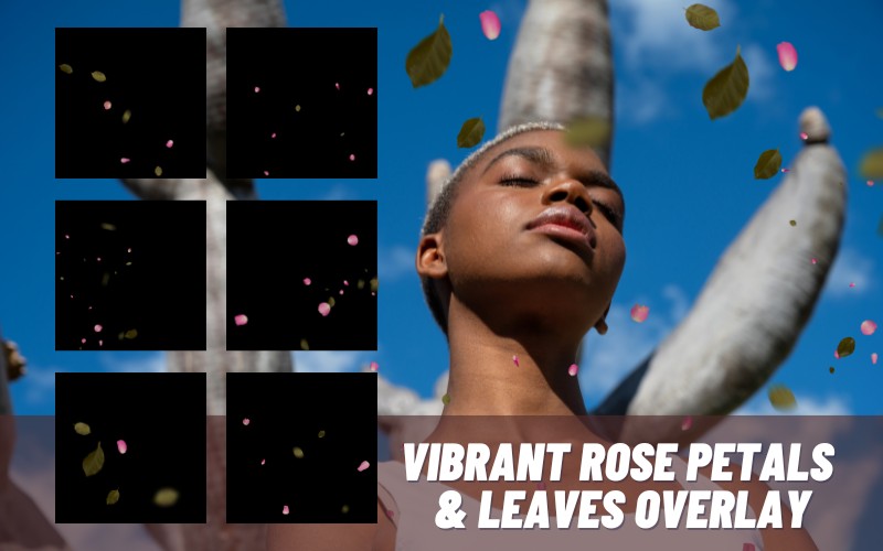 VIBRANT-ROSE-PETALS-LEAVES image overlays