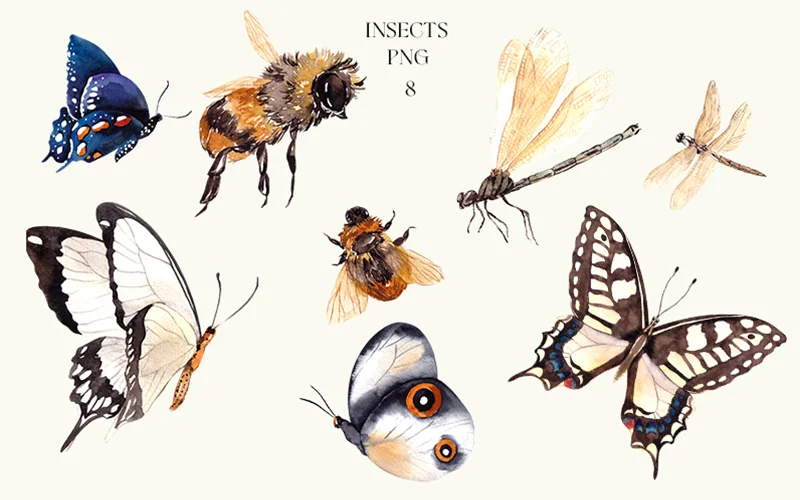insects png