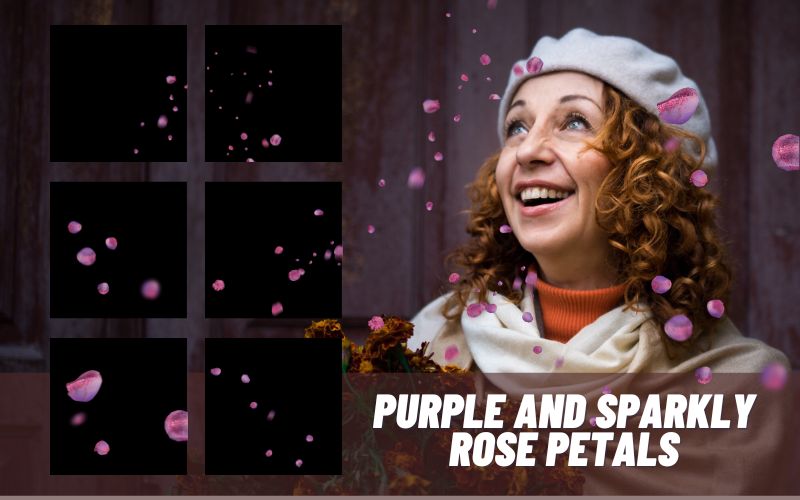 purple-and-sparkly-rose-petals image overlays