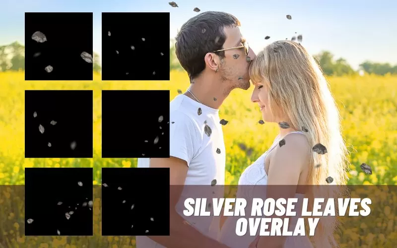 silver-rose-leaves-overlay