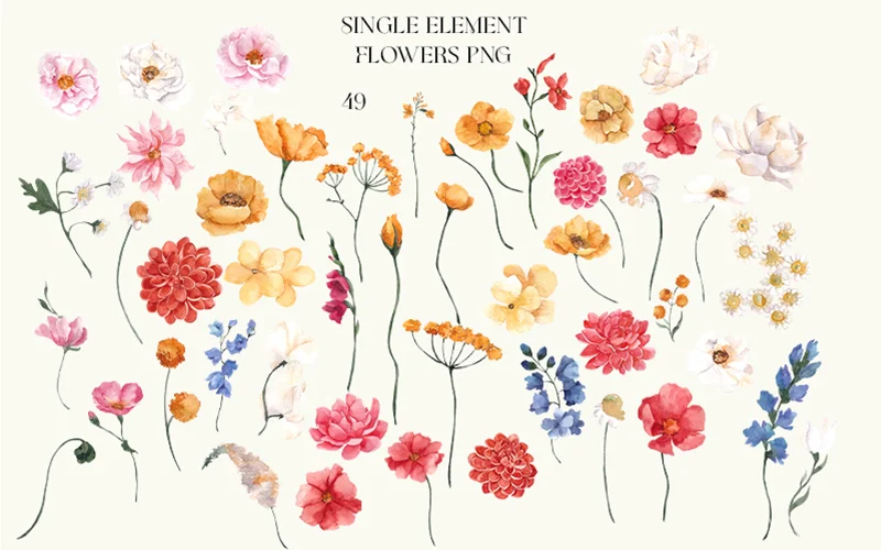 free watercolor floral clipart
free watercolor flowers clipart
